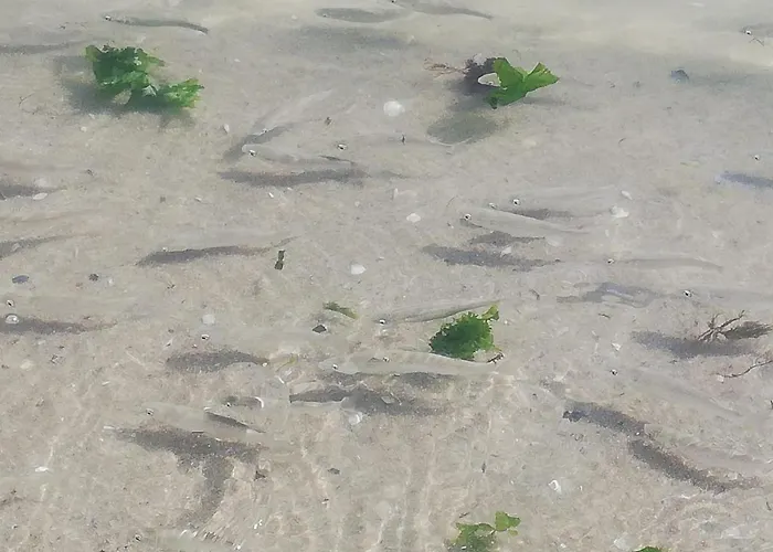 Attico Fronte Mare * مارتينسيكورو