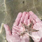 Attico Fronte Mare * Martinsicuro