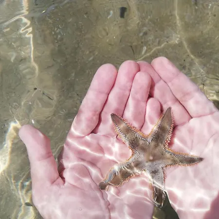 Attico Fronte Mare * מרטינסיקורו