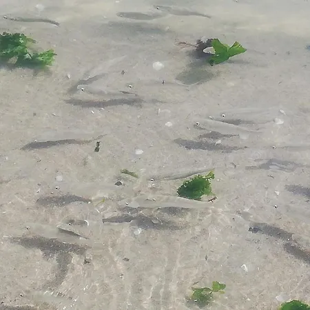 Attico Fronte Mare * Martinsicuro