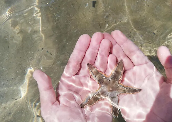 Attico Fronte Mare * Martinsicuro